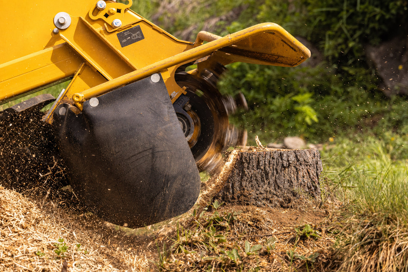 Stump grinding in Daly City, CA