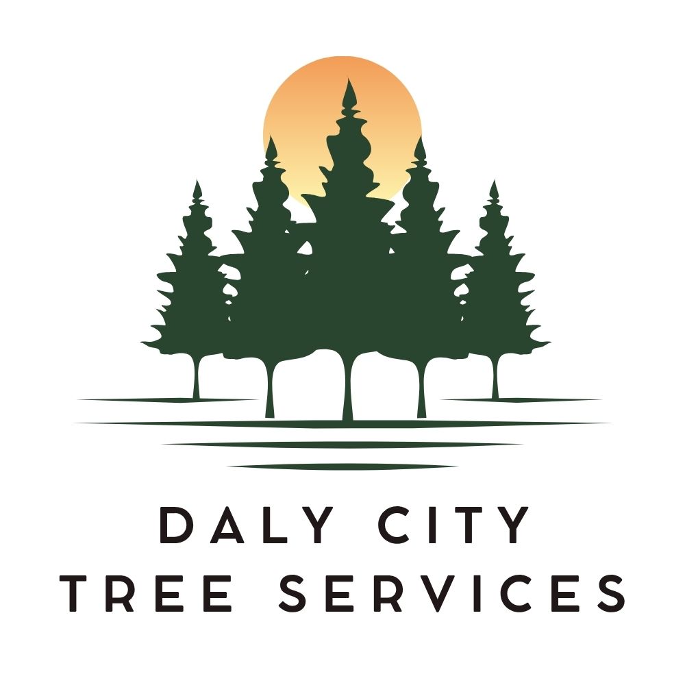 Daly City Tree Services